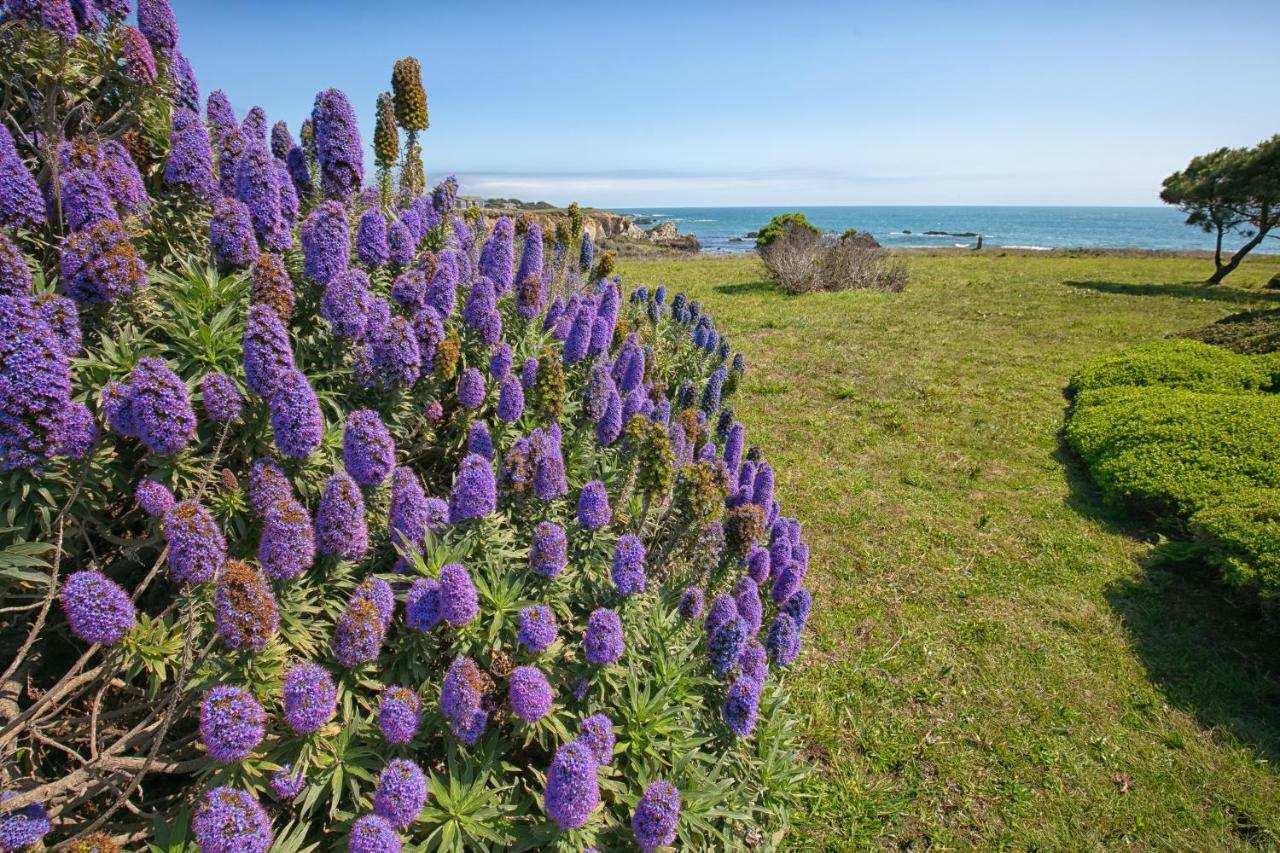 Rolling Waves Beach House Villa Sea Ranch Exterior photo